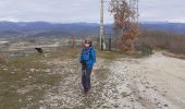 Trail Walking Piégros-la-Clastre - le collet puyjovent avec la berne - Photo 2