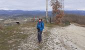 Tour Wandern Piégros-la-Clastre - le collet puyjovent avec la berne - Photo 2