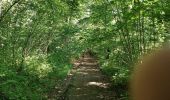 Randonnée Marche Rochefort - HAN-sur-LESSE ... par la Réserve Naturelle Domaniale de Lesse et Lomme. - Photo 3