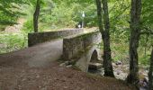 Trail Walking Orlu - Le Fanguil - Photo 8