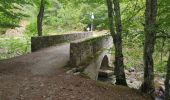 Randonnée Marche Orlu - Le Fanguil - Photo 8