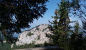 Excursión Senderismo Fillière - GLIERES / BORNES: SOUS DINE AU DEPART DE LES CHENEVIERS...  - Photo 15