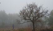 Randonnée Marche Fozières - Fauzieres jolie balade, fangouze, belle montée et retour dans la foret - Photo 12