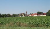 Tocht Te voet Artern - Quernetal-Heygendorf-Lodersleben - Photo 9