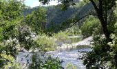 Tocht Stappen Goudet - Au fil de la Loire sauvage  - Photo 10