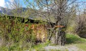 Trail Walking Crots - Boscodon  - Photo 4