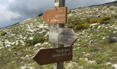 Tocht Stappen Vence - Naouri avec problème de réception  - Photo 2