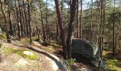 Tour Wandern Fontainebleau - corona - Photo 2