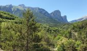 Excursión Senderismo Monestier-d'Ambel - croix de la plaigni - Photo 17