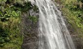 Randonnée Marche nordique Capesterre-Belle-Eau - Chute  - Photo 7