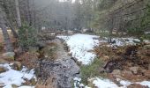 Tour Wandern Les Angles - Lac de Balcère - Photo 8