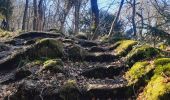 Randonnée Marche Neupré - trek GR57 étape 2 : roche aux faucons (Esneux) . Comblain-au-Pont  - Photo 15