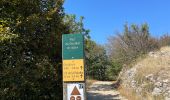 Excursión Senderismo Omblèze - Plateau ambel  - Photo 1