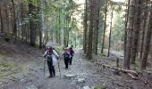 Trail Walking Estaing - ESTAING Cabane d'Ariousec en boucle G3 - Photo 4