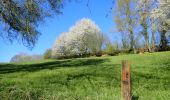 Percorso Marcia Chaumont-Gistoux - #210427 - Longueville, Hèze et Petit Hacquedeau - Photo 14