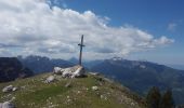 Excursión Senderismo Entremont-le-Vieux - Sommet Pinet à partir de la Balme - Photo 8