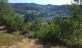 Tour Wandern Schnierlach - La tour du Faudé - Les Alisiers - Photo 9