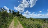 Trail Walking Érezée - Mormont Villers St Gertrude 22 km - Photo 12