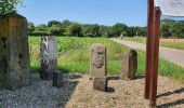 Tour Zu Fuß Kempen - Gottfried-Klinkenberg-Weg - Photo 9