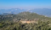 Tocht Stappen La Valette-du-Var - coudon sud et crête ouest - Photo 4