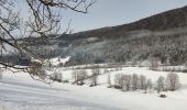 Randonnée Raquettes à neige Autrans-Méaudre en Vercors - Pas de Nave  - Photo 15