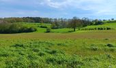 Tour Wandern Durbuy - barvaux . bohon . durbuy . barvaux  - Photo 8