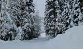 Trail Snowshoes Pralognan-la-Vanoise - Pralognan Les Fontanettes - Photo 8