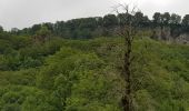 Tocht Stappen Thiézac - Circuit de La Goutte - Photo 2