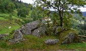 Tocht Mountainbike La Bresse - OR-6098028--Bresse (La):CIRCUIT VTT N°1 - Photo 1