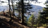 Tour Wandern Rencurel - Pas de Pertuson et falaise de Méaudre - Photo 2