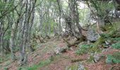 Trail Walking Mont-Dore - Petit tour aux myrtilles depuis le camping - Photo 1