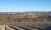 Randonnée Marche Le Castellet - ENTREVENNES . TOUR DU COLOMBIER n - Photo 2