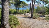 Tocht Stappen Cassis - calanques a cassis q - Photo 13