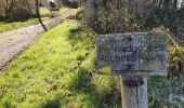 Trail Walking Lapleau - viaduc rochers noirs - Photo 10