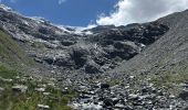 Randonnée Marche Pralognan-la-Vanoise - Glacier de Genepy 13 km - Photo 6