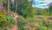 Tour Wandern Bouillon - 2024-09-15_08h33m03_Les Hayons Bouillon - Photo 20