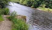 Trail Walking Houffalize - Le herou . Le chesle - Photo 14