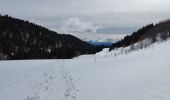 Randonnée Raquettes à neige Autrans-Méaudre en Vercors - Pas de Nave  - Photo 6