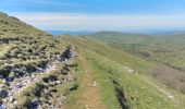 Randonnée Marche Bouvante - Pas de la Ferrière  - Photo 6