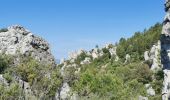 Randonnée Marche La Roquebrussanne - La Roque La loube Col de la barraque les orris - Photo 13