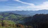 Tocht Te voet Wald (ZH) - Wald - Farneralp - Photo 10