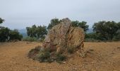 Tocht Stappen Pierrefeu-du-Var - Circuit dans les maures - Photo 1