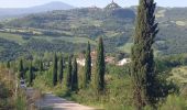 Tour Wandern San Quirico d'Orcia - San Quirico /  Gallina - Photo 9