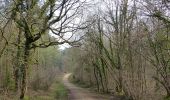 Tour Zu Fuß Winchester - Soberton and Newtown Millennium Walk - Photo 7