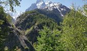 Trail Walking Chamonix-Mont-Blanc - CHAMONIX ... le chalet du Chapeau.  - Photo 8