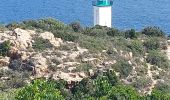 Tocht Stappen Saint-Florent - st Florent phare de Motella et plage Lotu - Photo 3