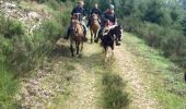 Trail Horseback riding Ban-sur-Meurthe-Clefcy - Reconnaissance chez Delphine fraize  - Photo 10