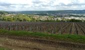 Percorso Marcia Château-Thierry - Les Vignes Castelles trace du 28-04-2024 - Photo 6