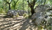 Tour Wandern Berrias-et-Casteljau - CASTELJAU - Photo 11