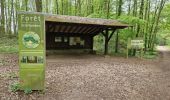 Excursión Senderismo Milon-la-Chapelle - La Forêt de la Madeleine et l'Abbaye de Port-Royal-des-Champs - Photo 8